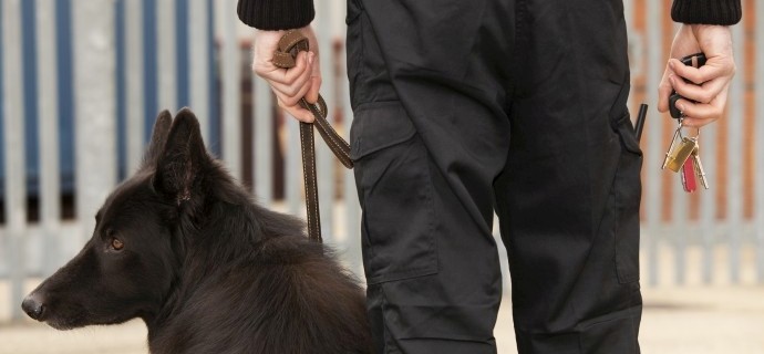 sicherheitsdienst mit hund